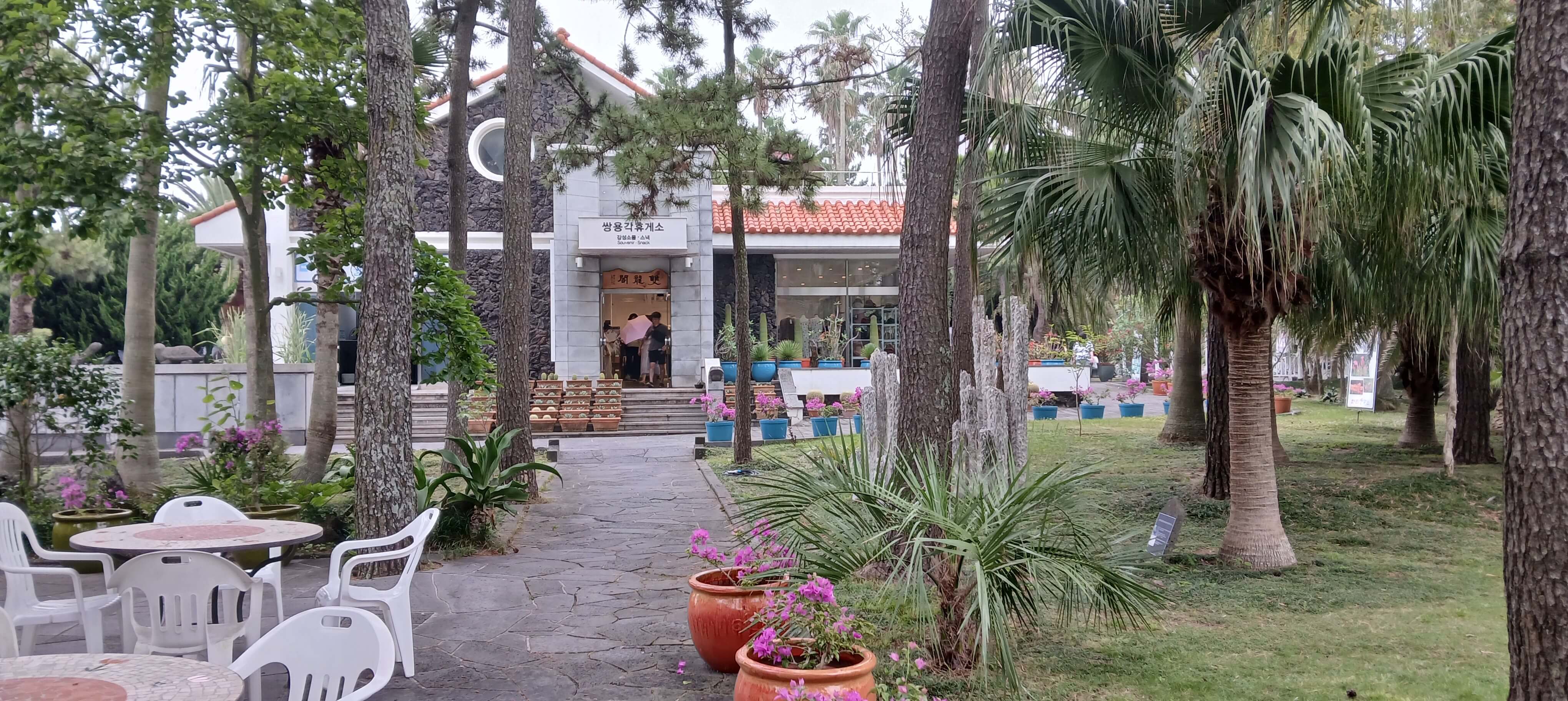 Hallim Park botanical gardens with subtropical plants and themed zones in Jeju