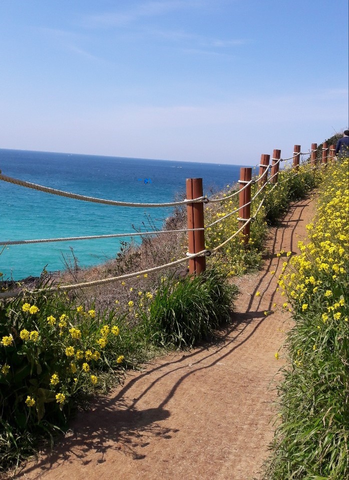 Hamdeok Beach white sand and turquoise water with Seoubong Peak in Jeju